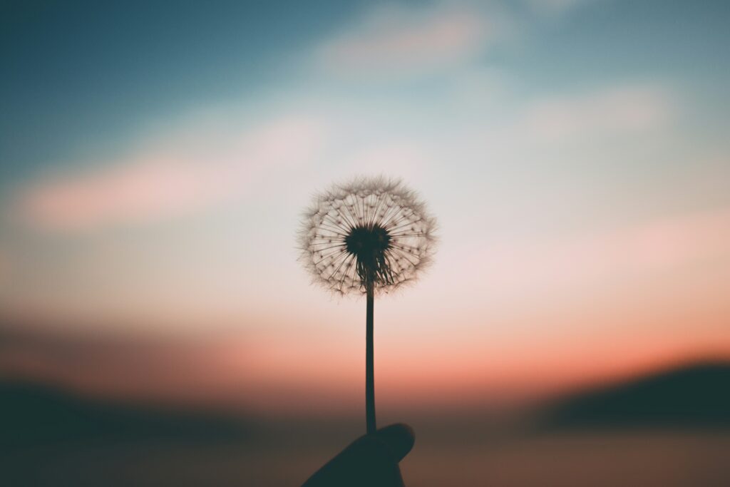 How To Start A Meditation Practice For Beginners
